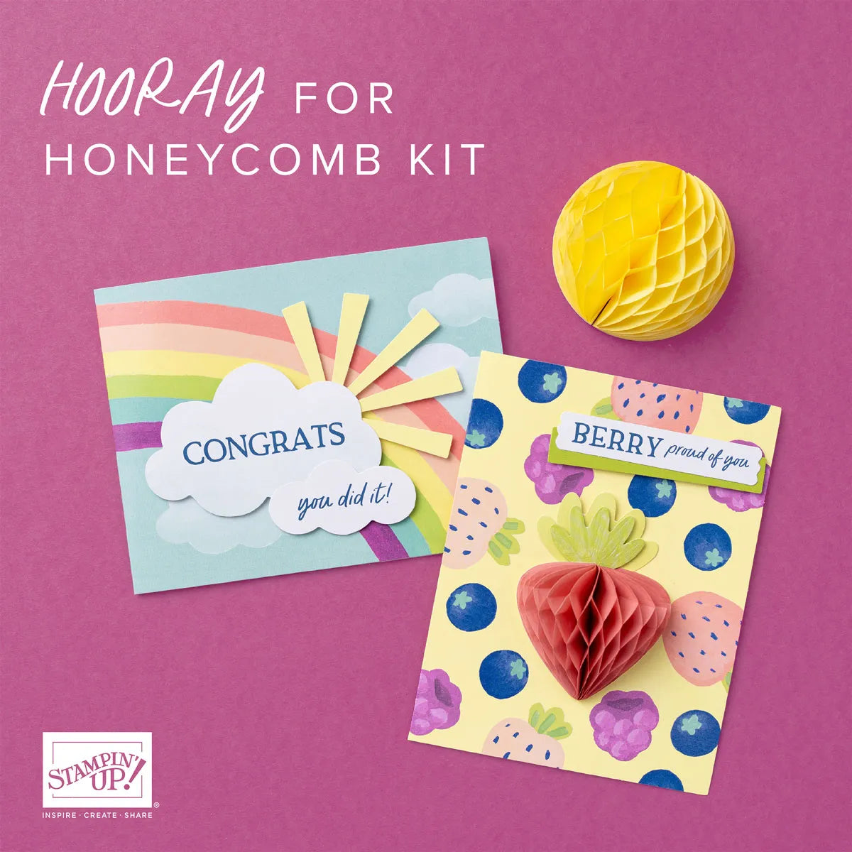 NEW Hooray for Honeycomb - New in Box
